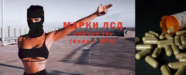 герыч Алексин